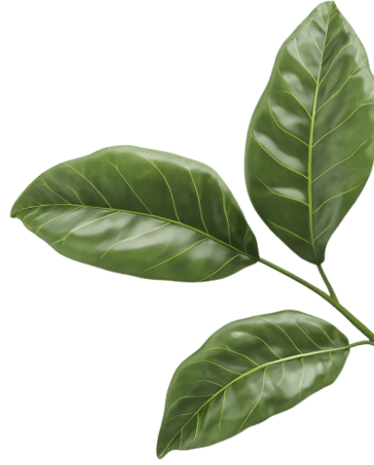 Decorative leaf right